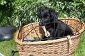 Op de fiets (8)